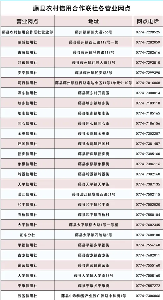 2025年藤縣農信社寒假社會(huì )實(shí)踐招募公告