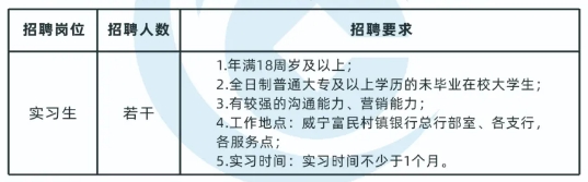 2025年威寧富民村鎮銀行暑期實(shí)習生招聘啟事